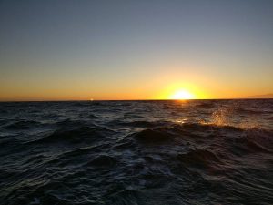Santa Monica Bayn purjehdus, Shining Journey -matkablogi