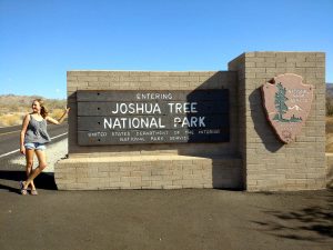 Joshua Treen kansallispuisto, Shining Journey -matkablogi