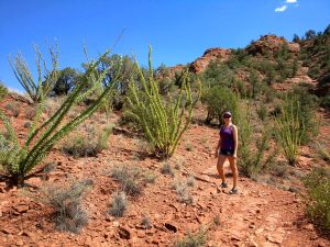 Red Rock State Park, Sedona, Arizona, Shining Journey -matkablogi