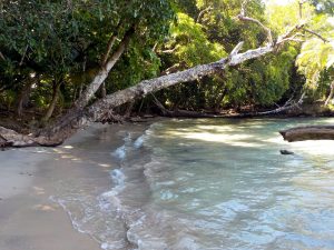 Solarte Island, Bocas del Toro